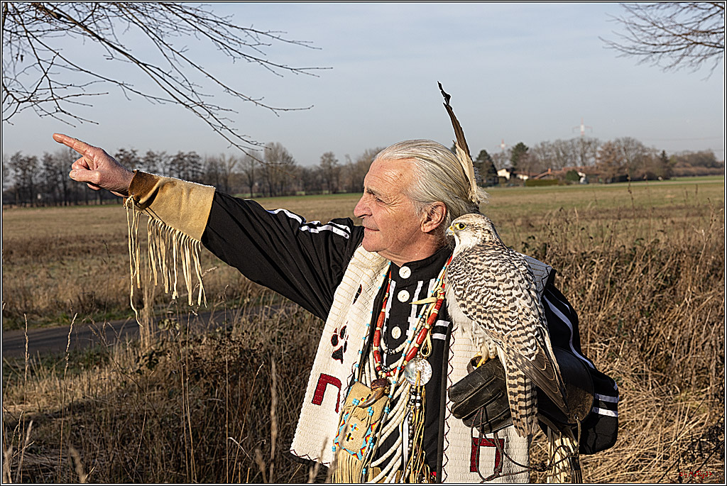 Cheyenne-Halbblut Hunting Wolf in der Falknerei Pierre Schmidt; Gymnich, 09.02.2023